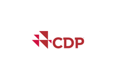 CDP Standard